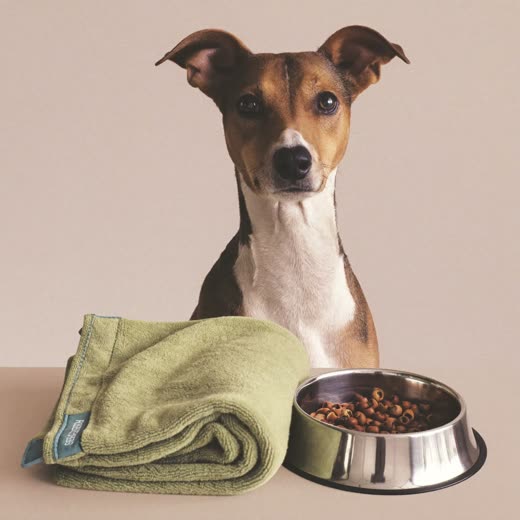 A stainless steel feeding bowl and a folded fleece blanket